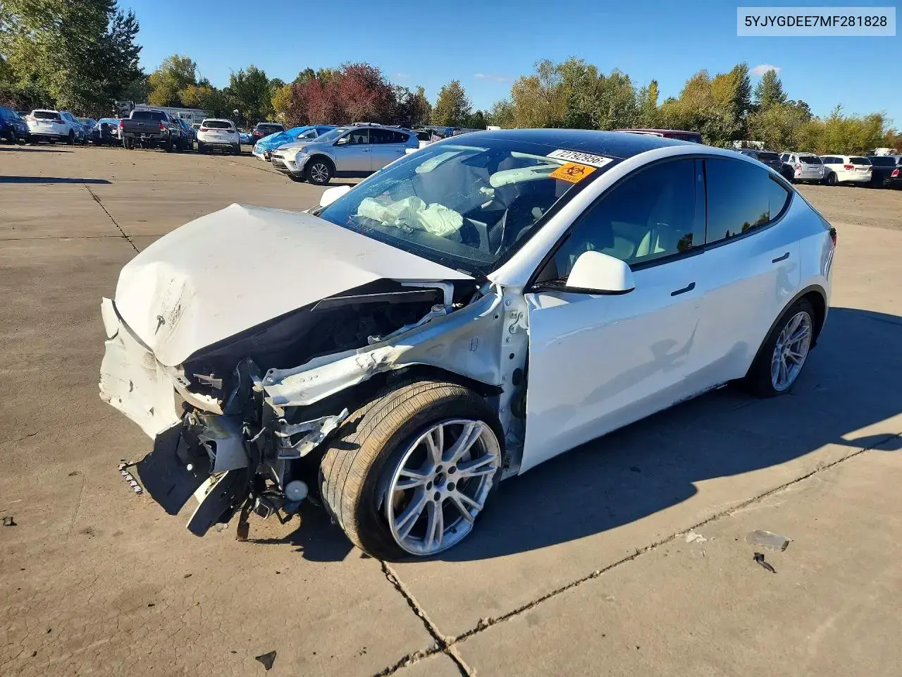 Tesla Model Y 2021