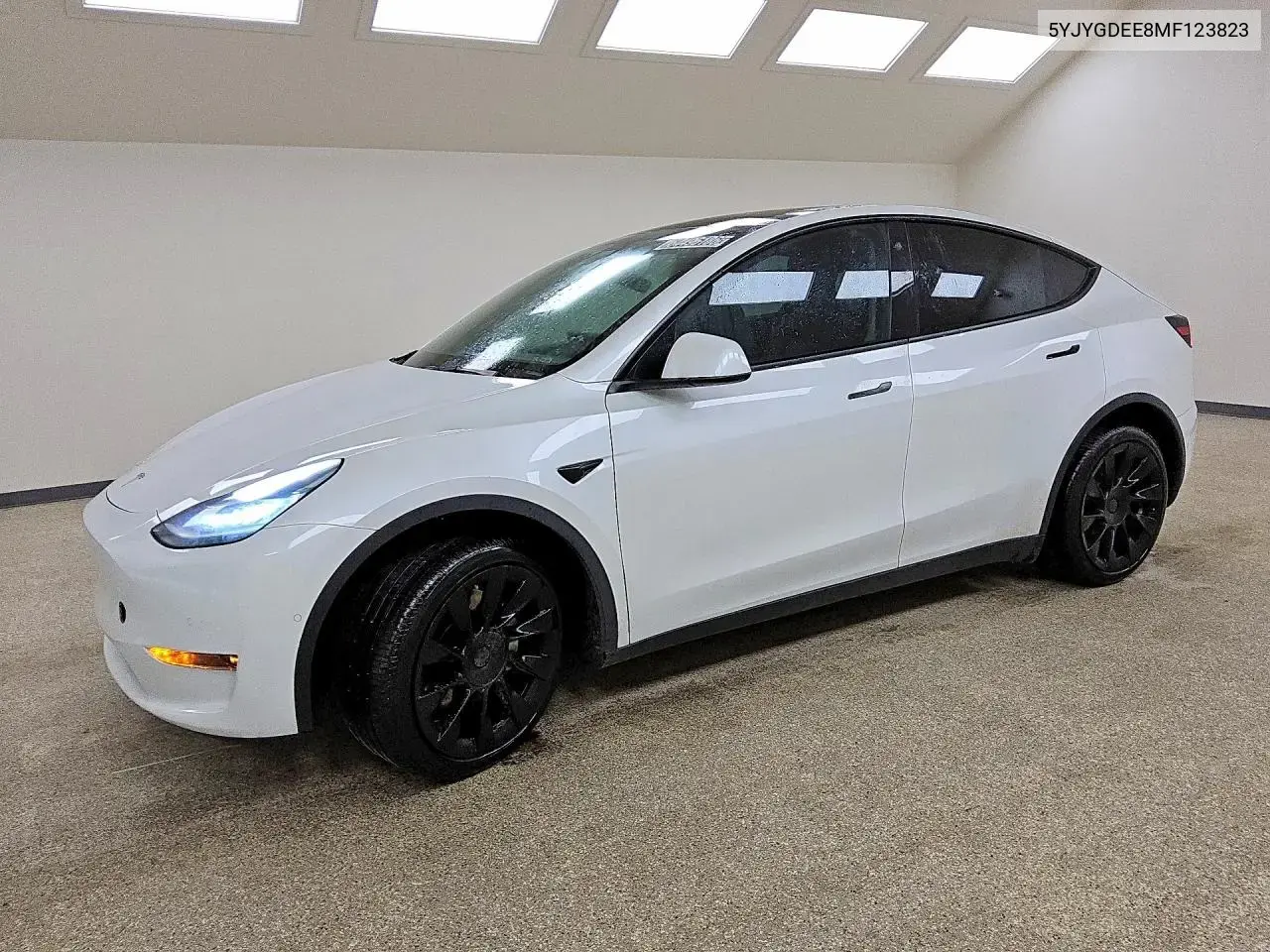 Tesla Model Y 2021