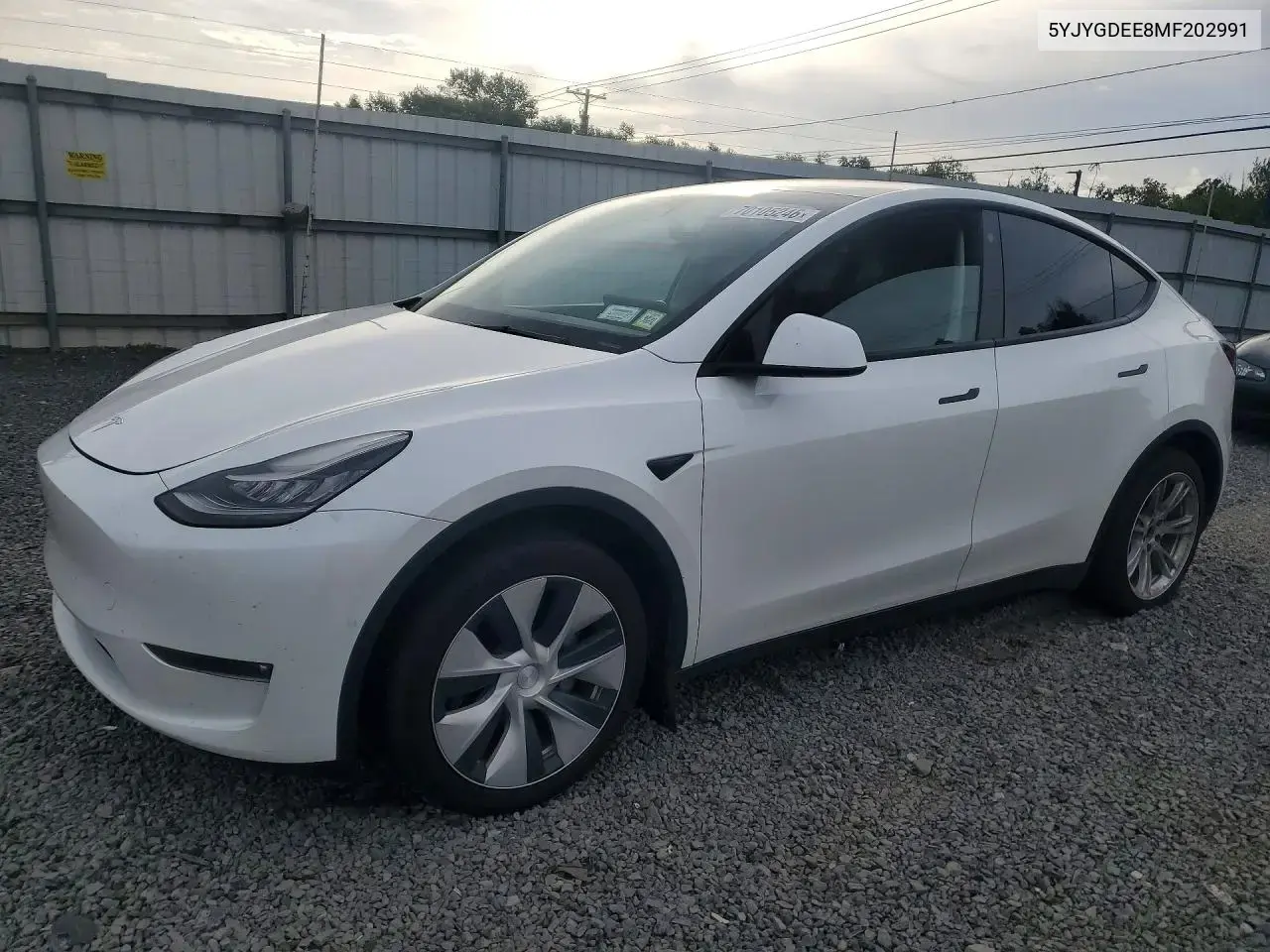 Tesla Model Y 2021