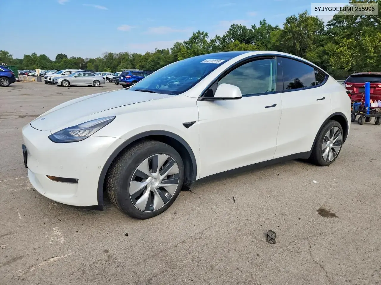Tesla Model Y 2021