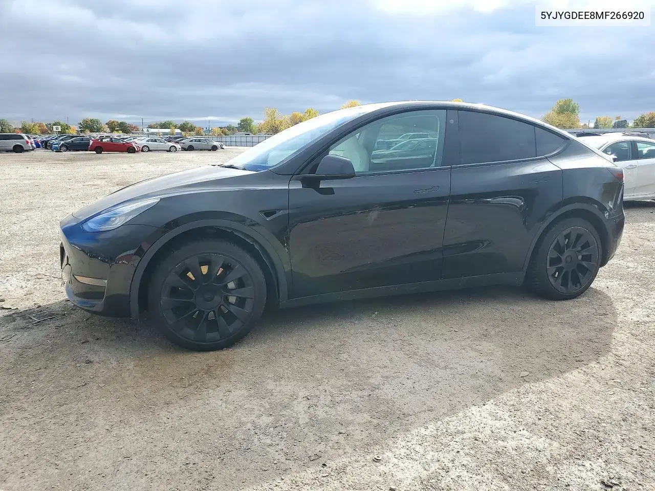 Tesla Model Y 2021