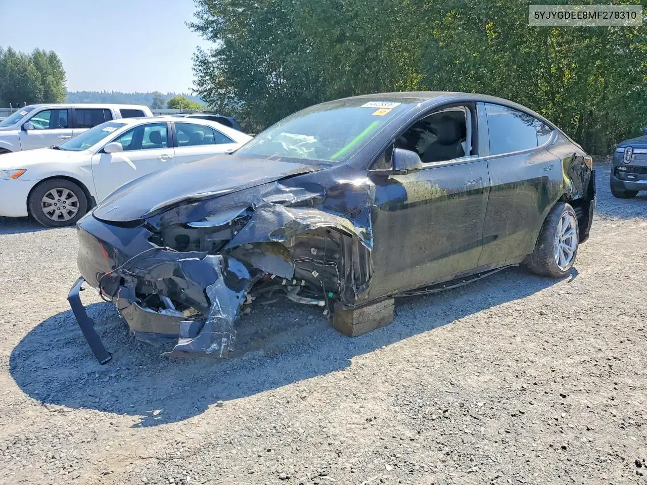 Tesla Model Y 2021