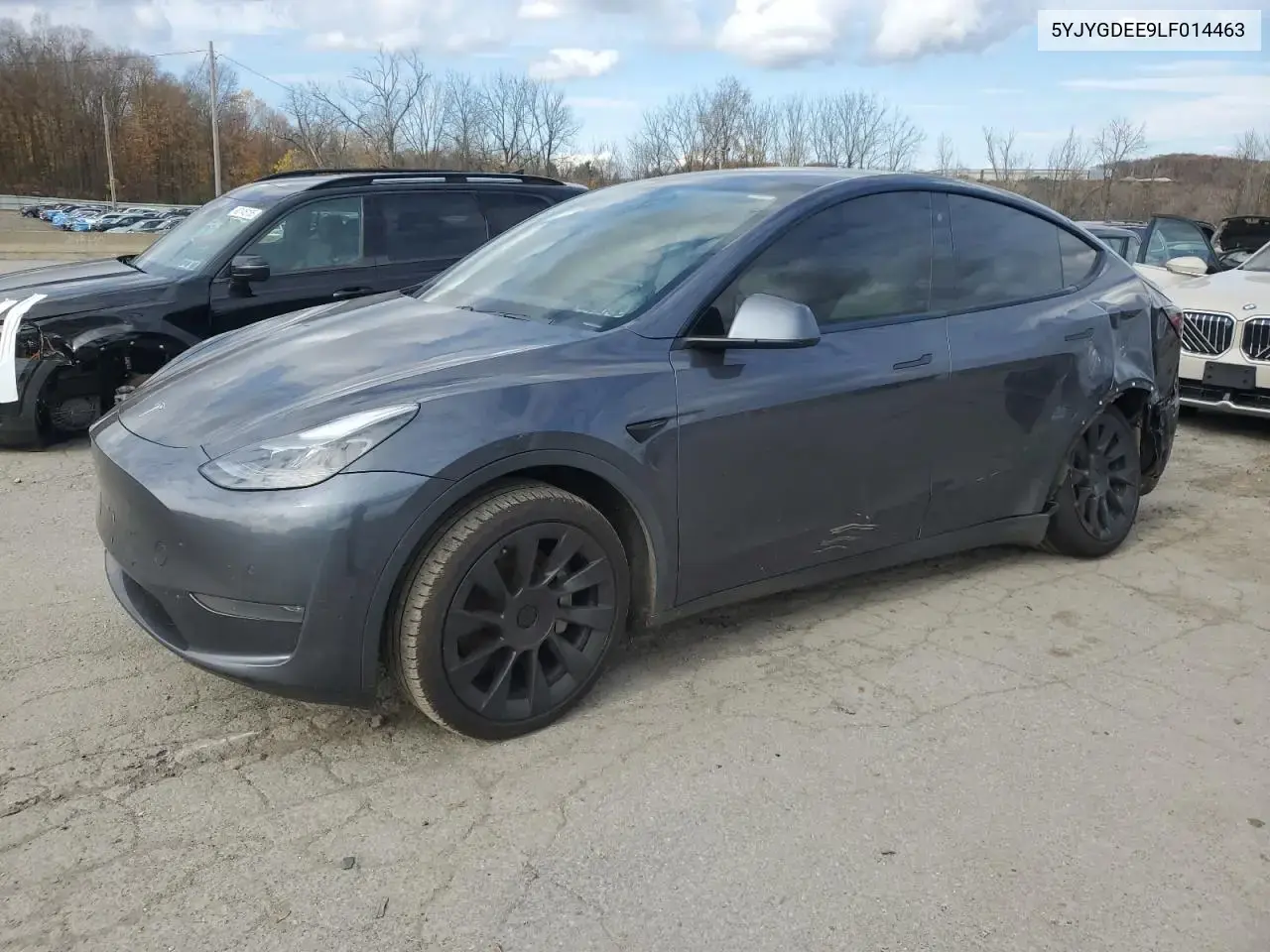 Tesla Model Y 2020