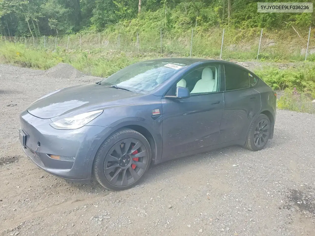 Tesla Model Y 2020