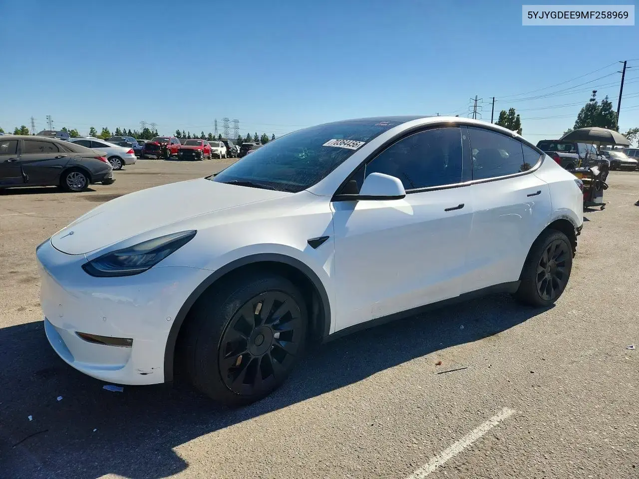 Tesla Model Y 2021