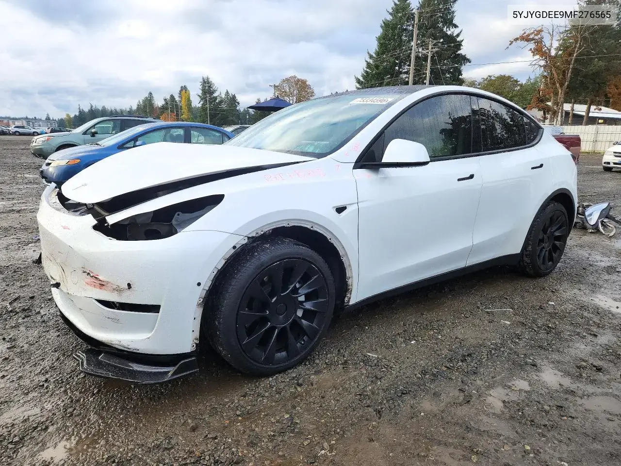 Tesla Model Y 2021