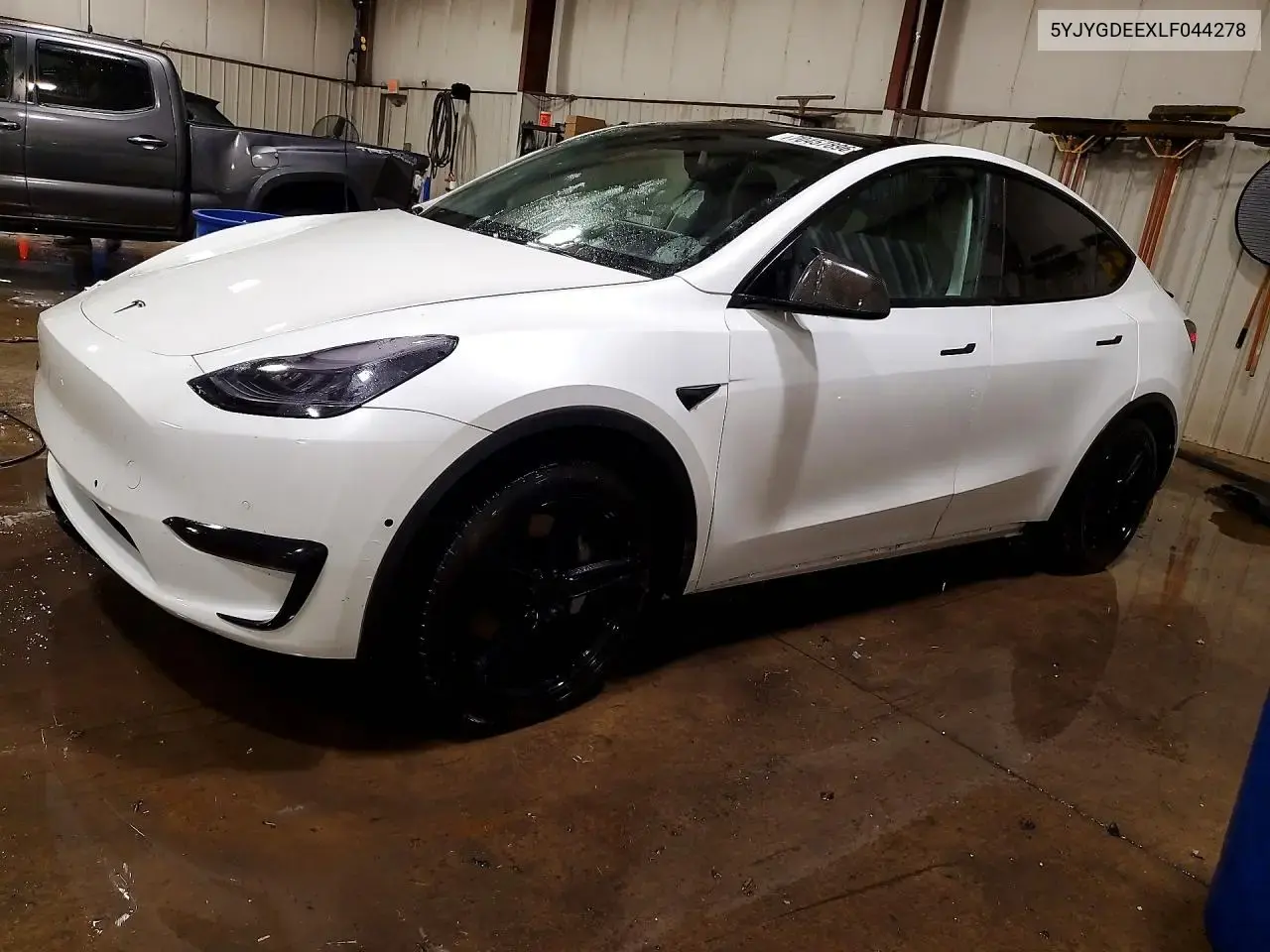 Tesla Model Y 2020