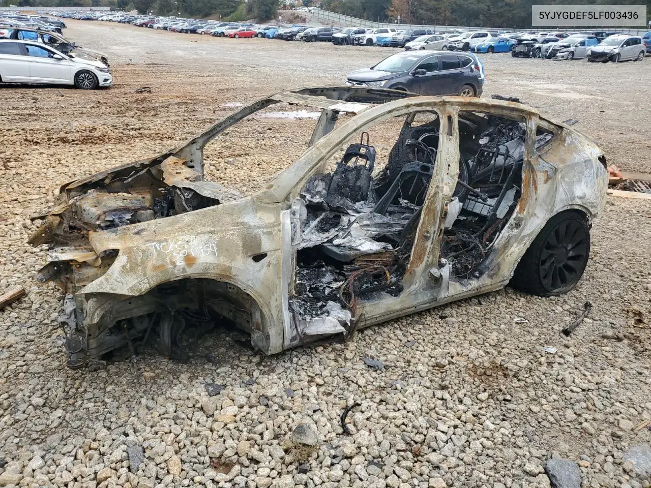 Tesla Model Y 2020