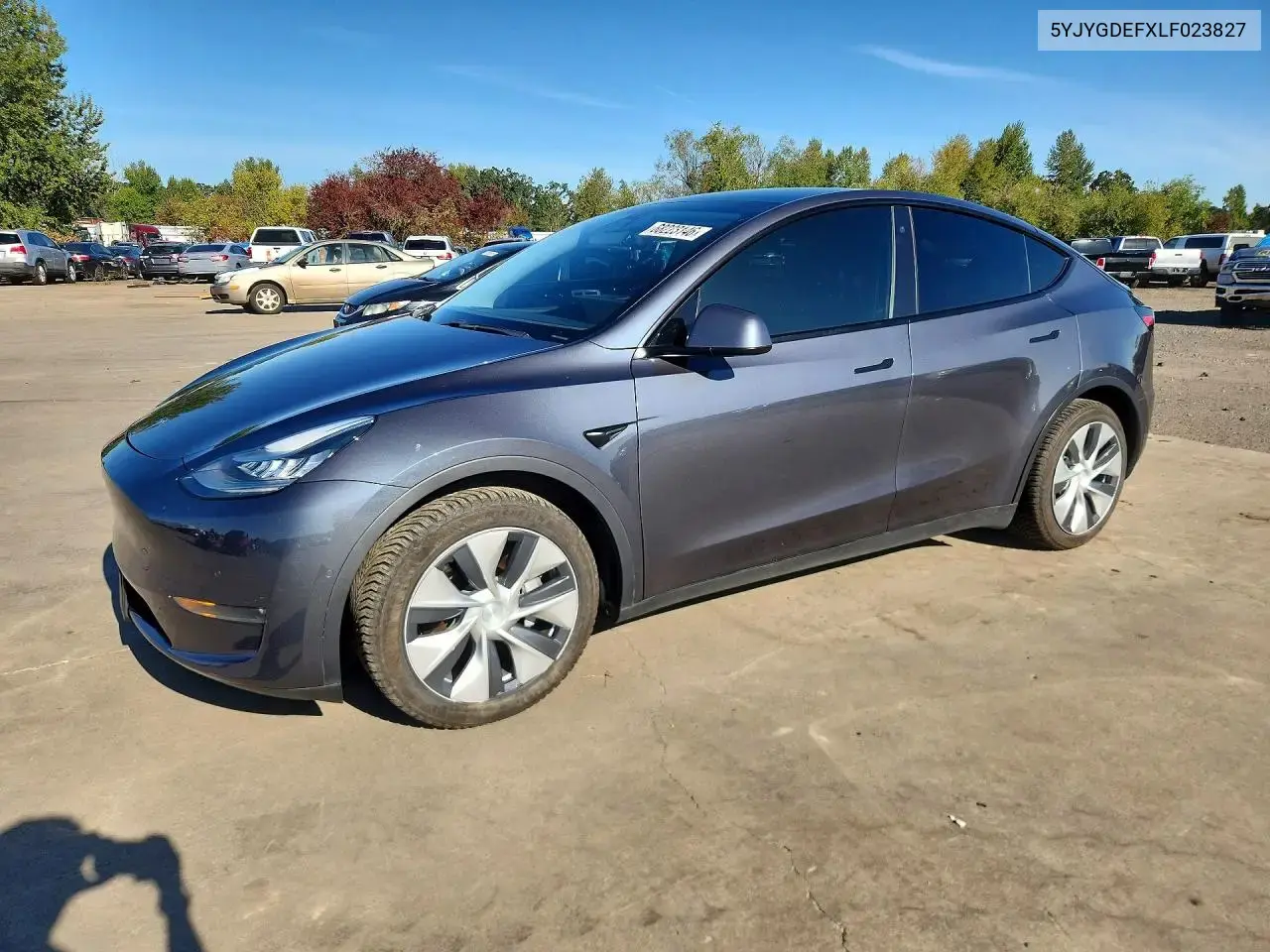 Tesla Model Y 2020