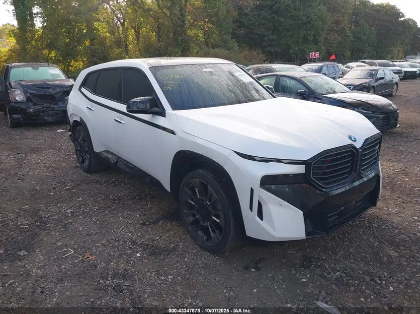 BMW Xm 2024