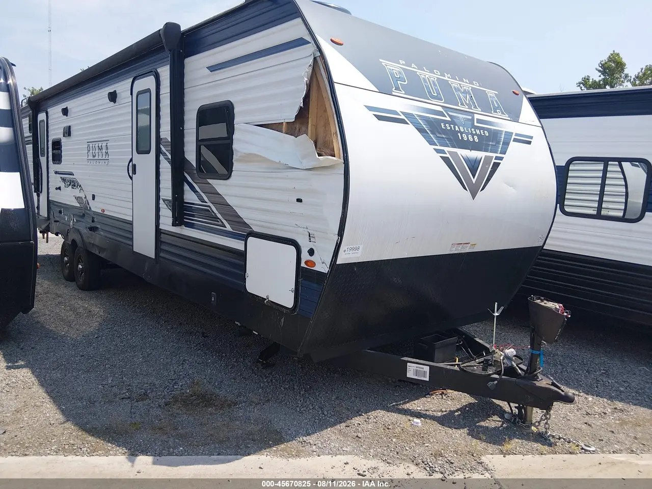 Palomino Other 2024