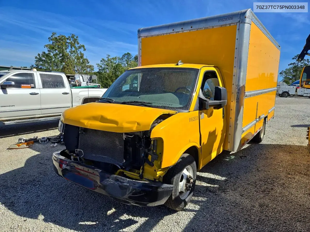GMC Savana Cut 2023