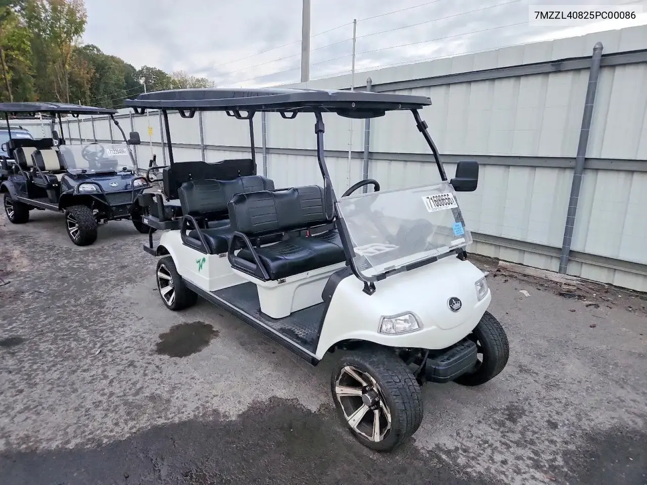 Golf Cart Evolution Carrier 2023