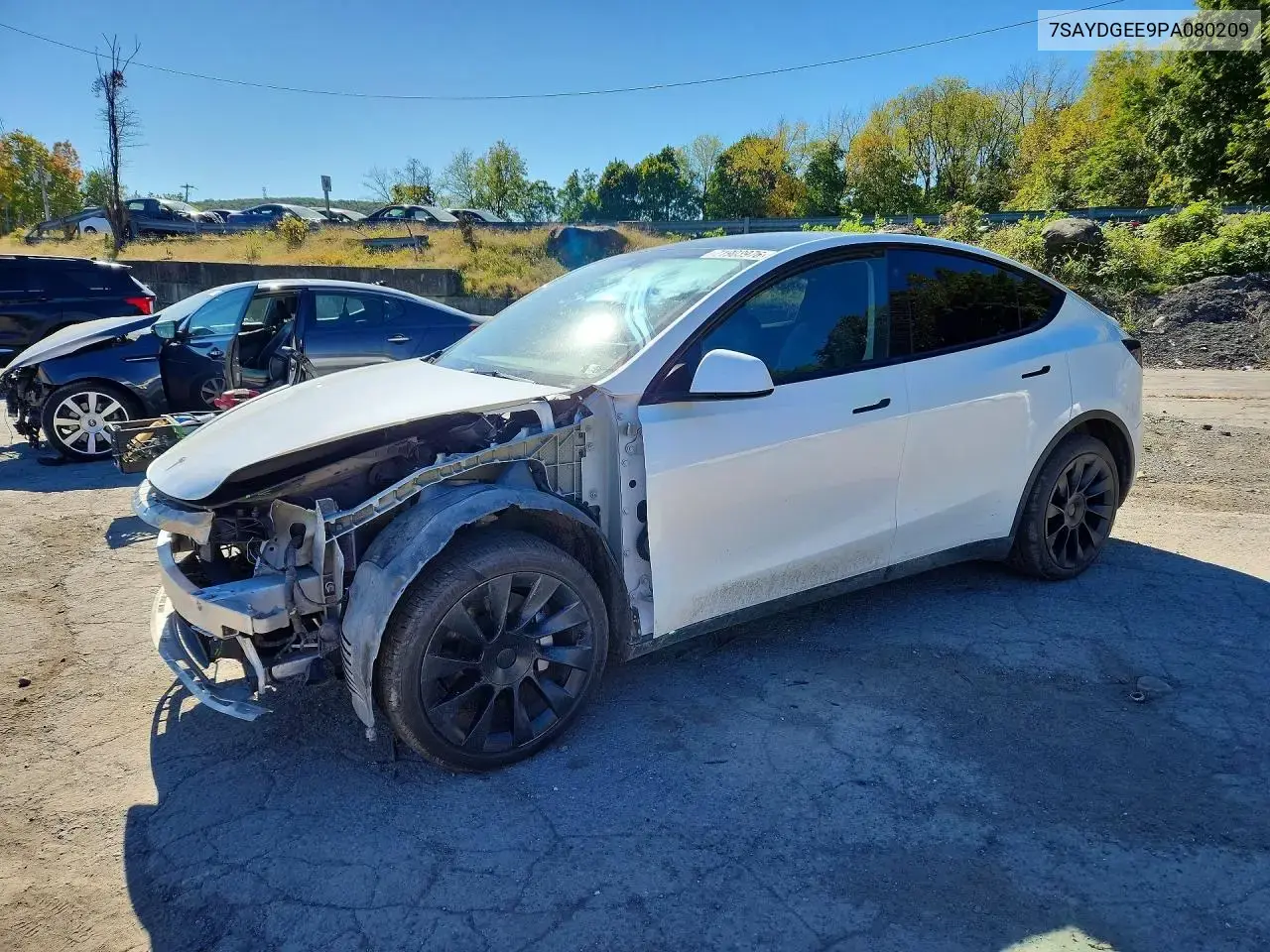 Tesla Model Y 2023