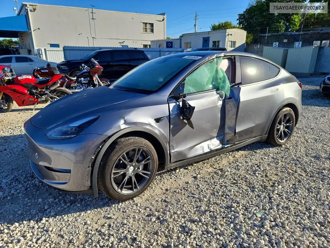 Tesla Model Y 2024