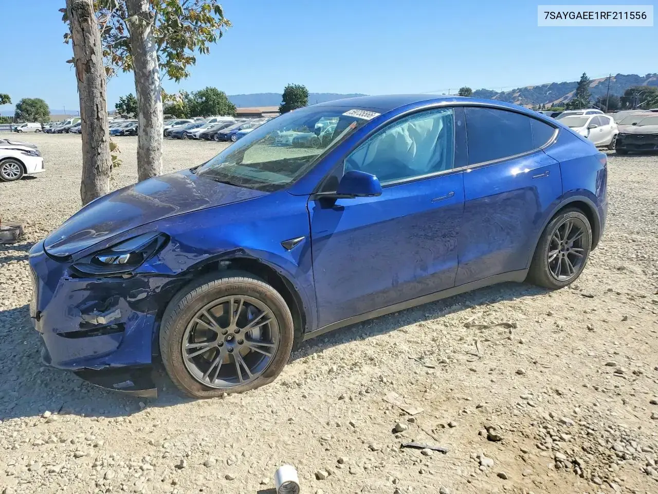 Tesla Model Y 2024