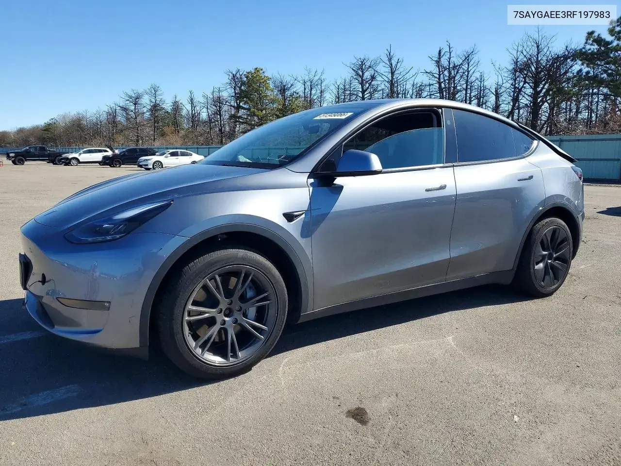 Tesla Model Y 2024