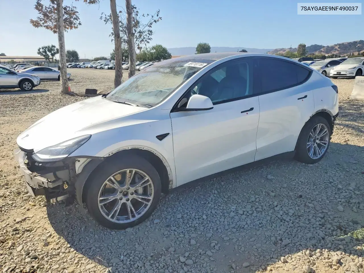 Tesla Model Y 2022