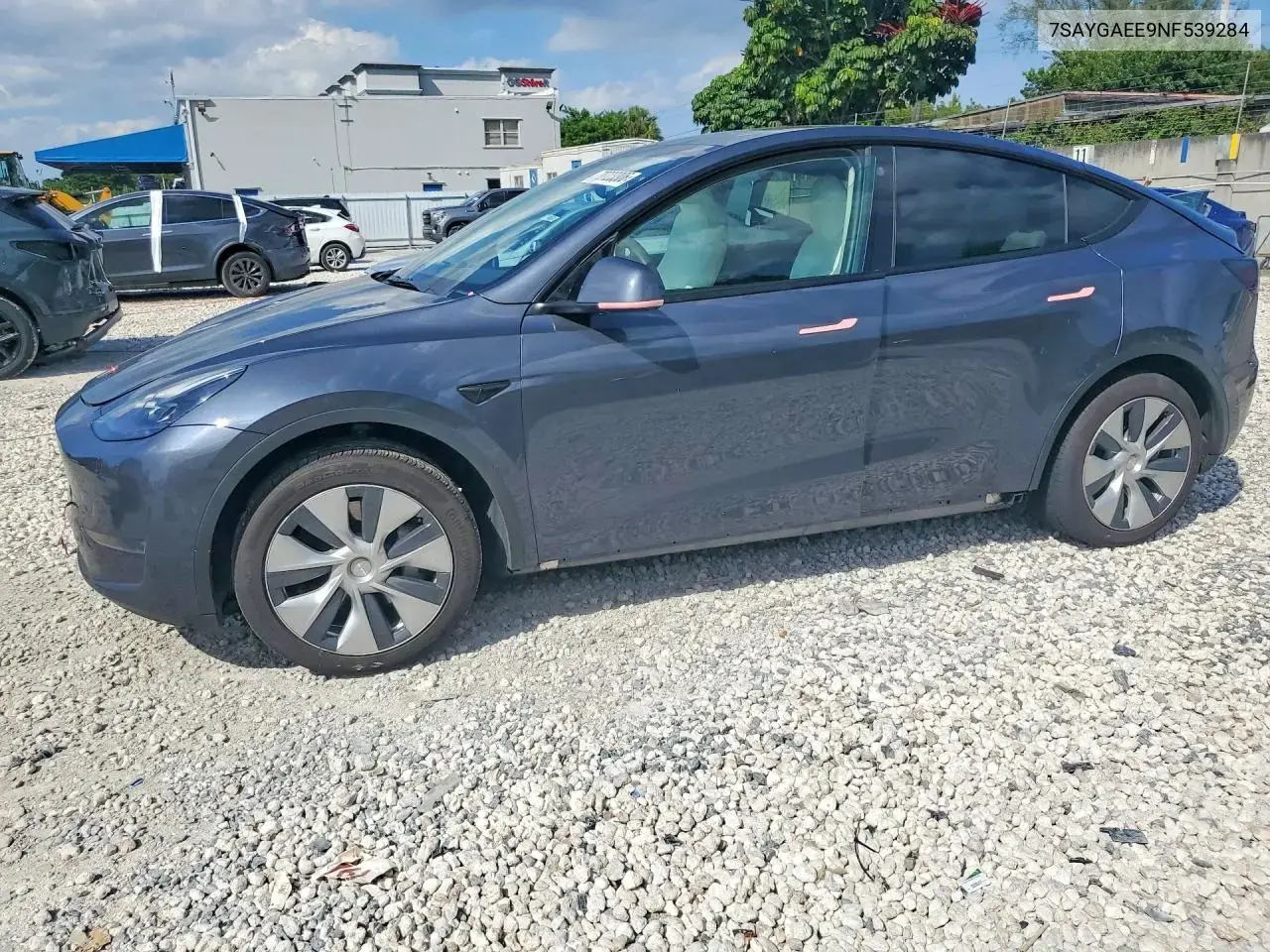 Tesla Model Y 2022