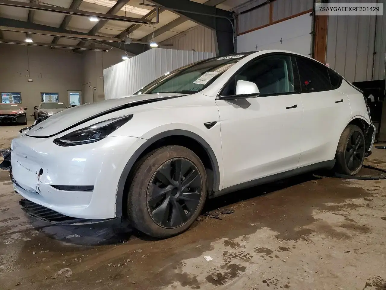 Tesla Model Y 2024