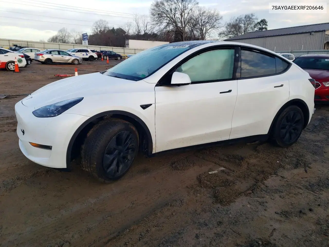 Tesla Model Y 2024