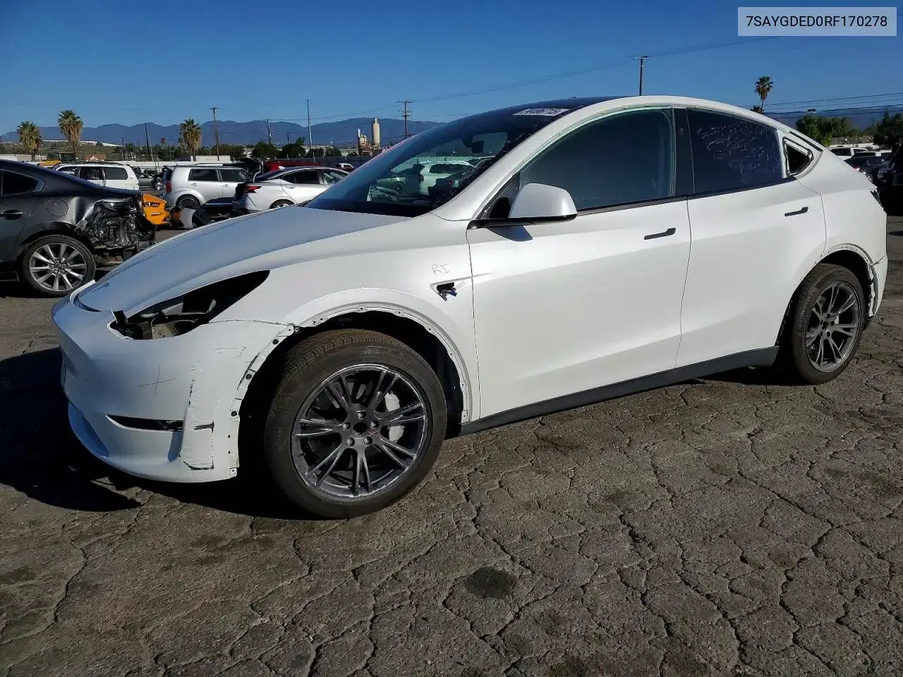 Tesla Model Y 2024