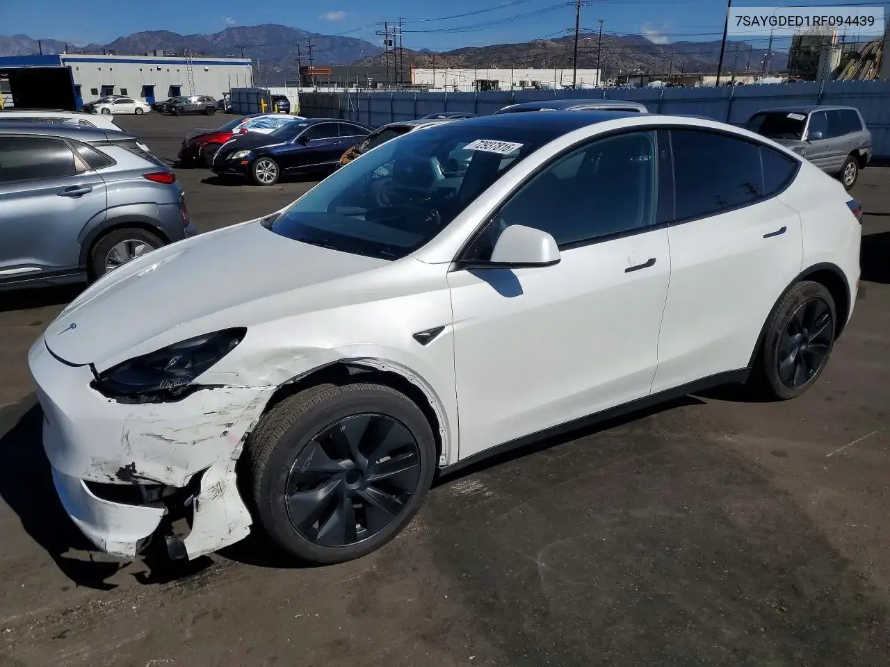 Tesla Model Y 2024
