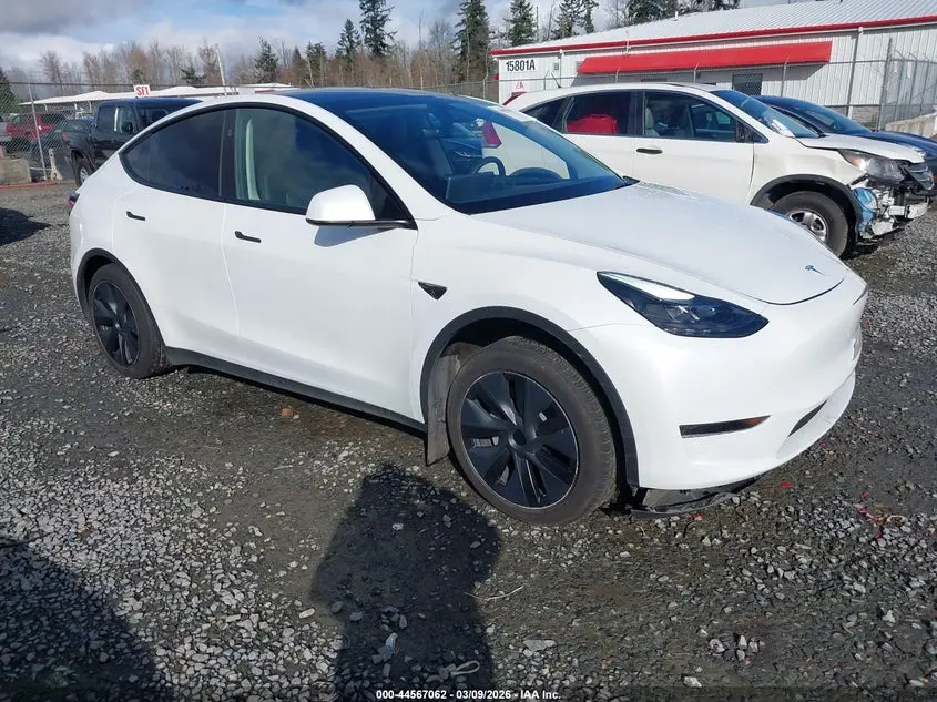 Tesla Model Y Long Range Single Motor Rear-Wheel Drive/Rwd 2024