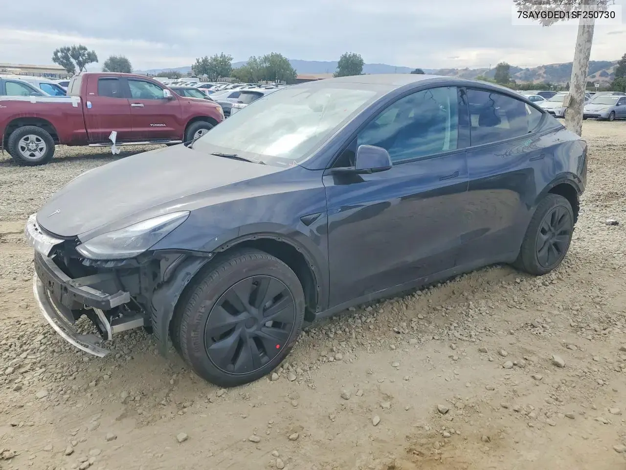 Tesla Model Y 2025