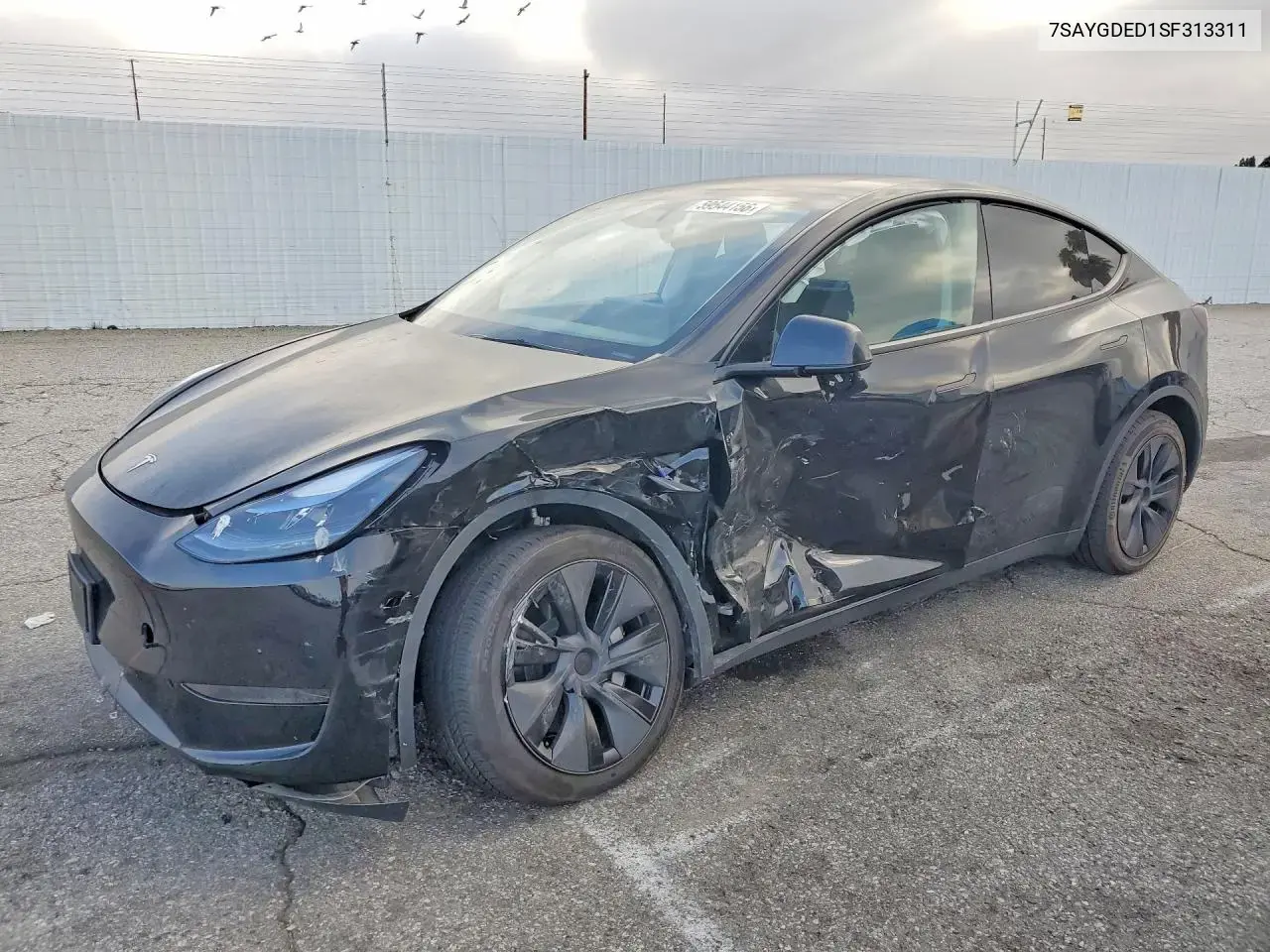 Tesla Model Y 2025
