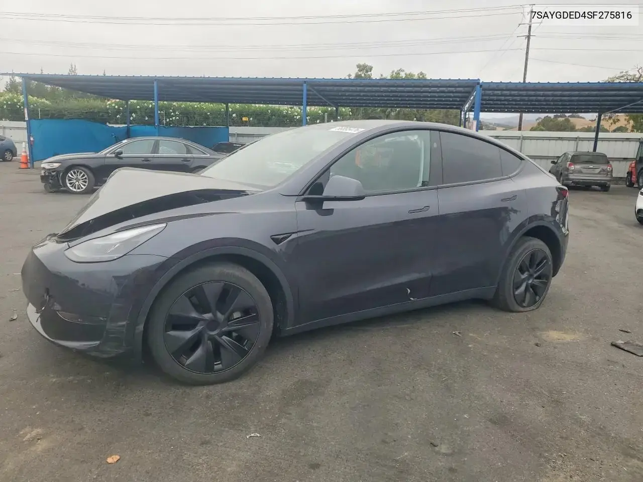 Tesla Model Y 2025