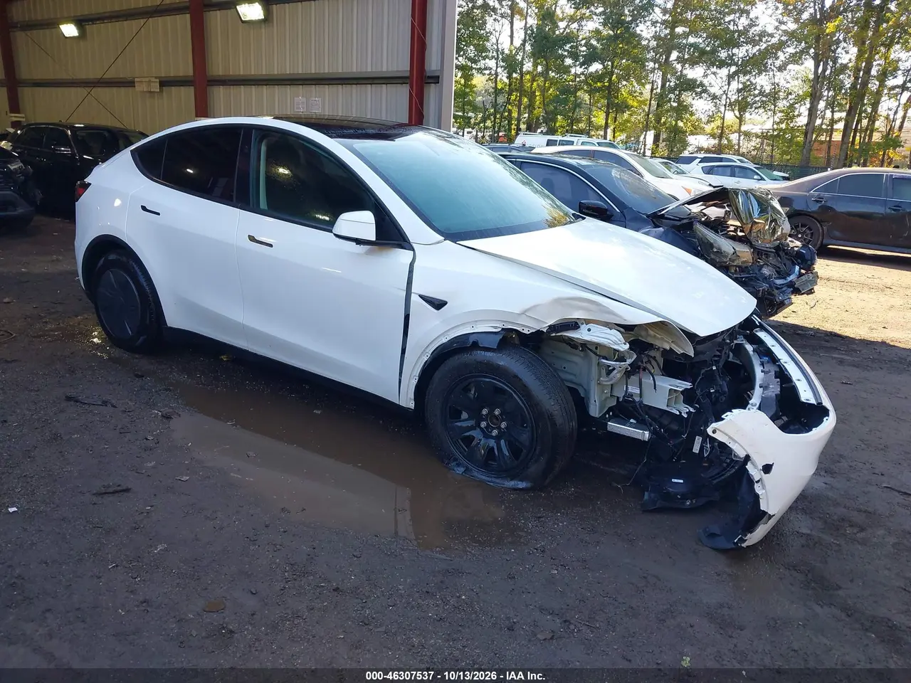 Tesla Model Y Premium Rear-Wheel Drive/Rear-Wheel Drive 2026