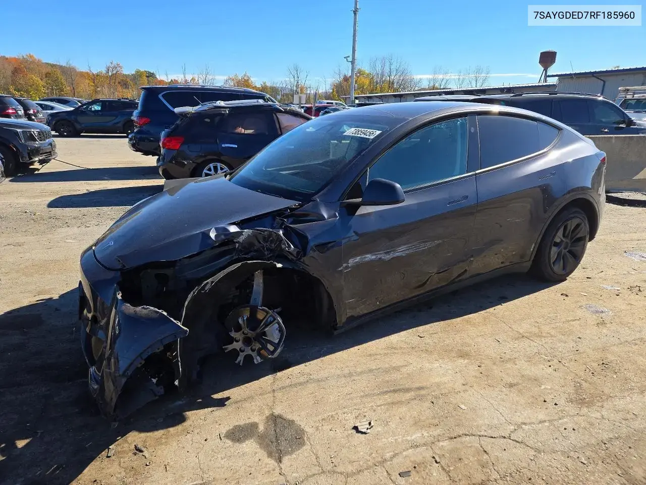 Tesla Model Y 2024