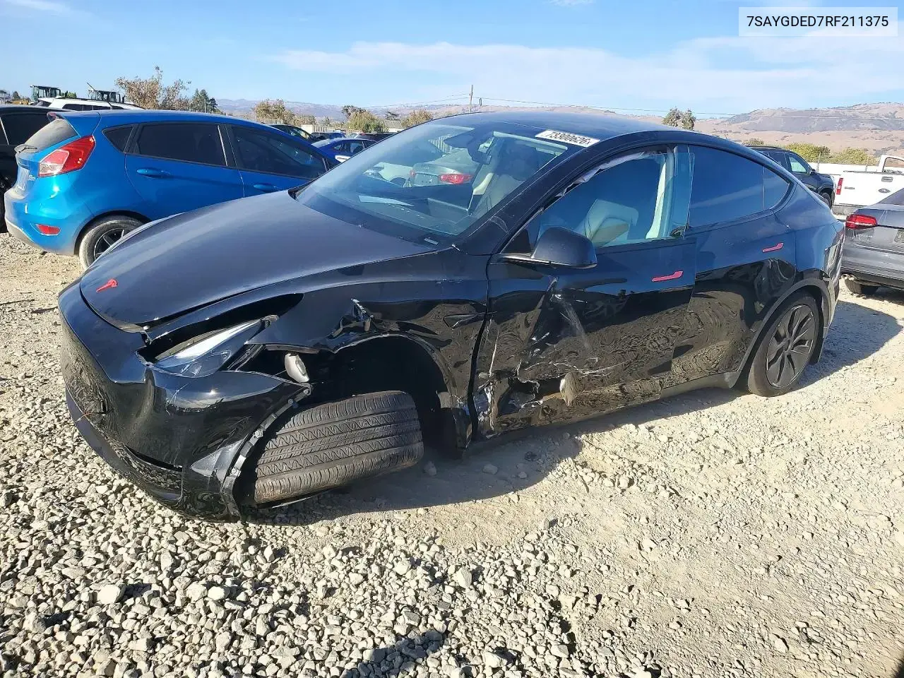 Tesla Model Y 2024