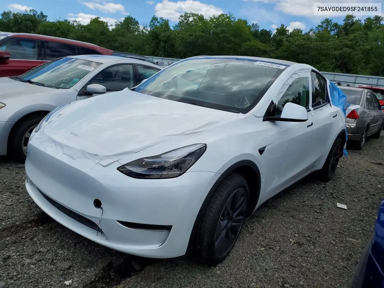 Tesla Model Y 2025
