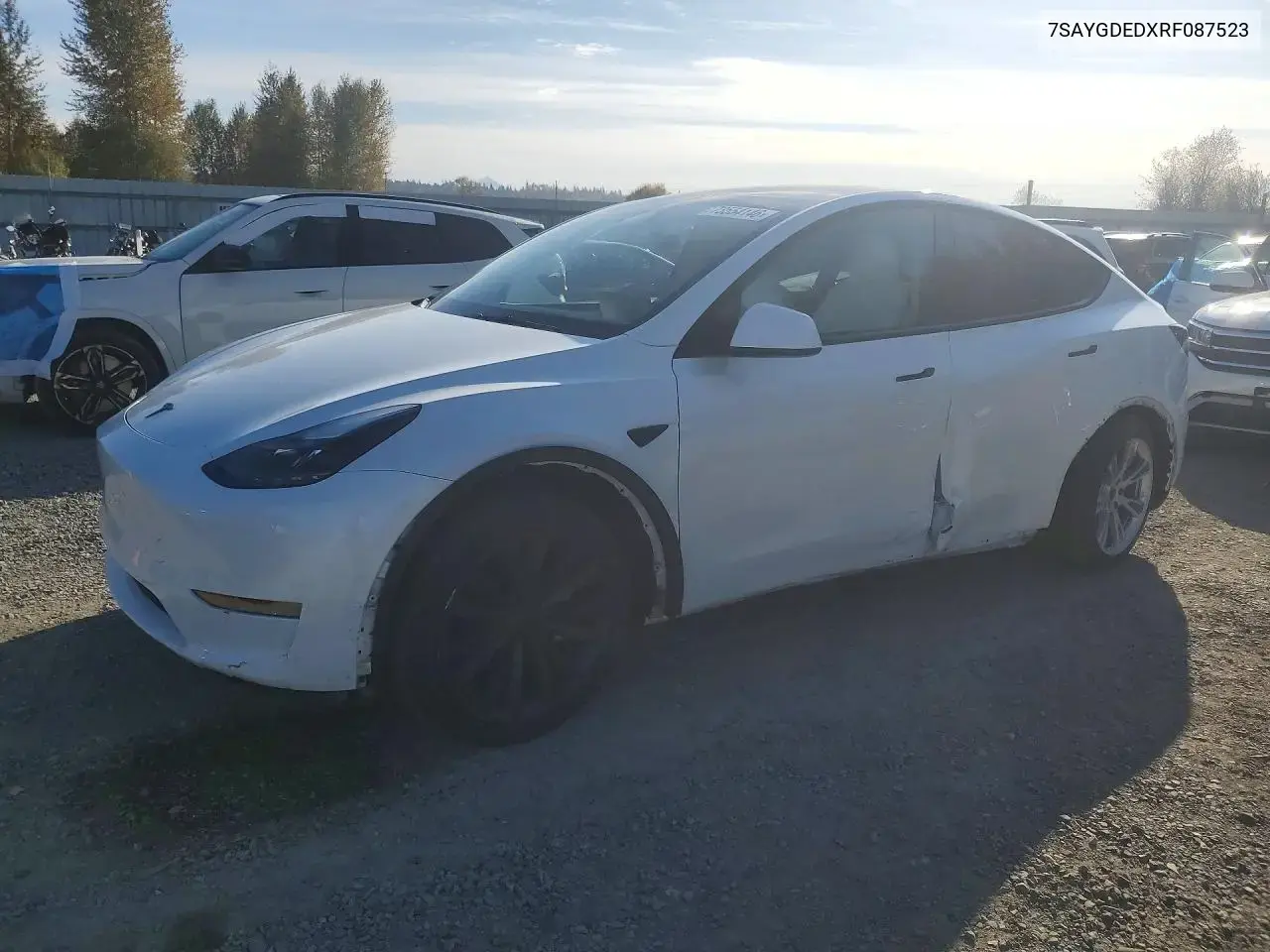 Tesla Model Y 2024