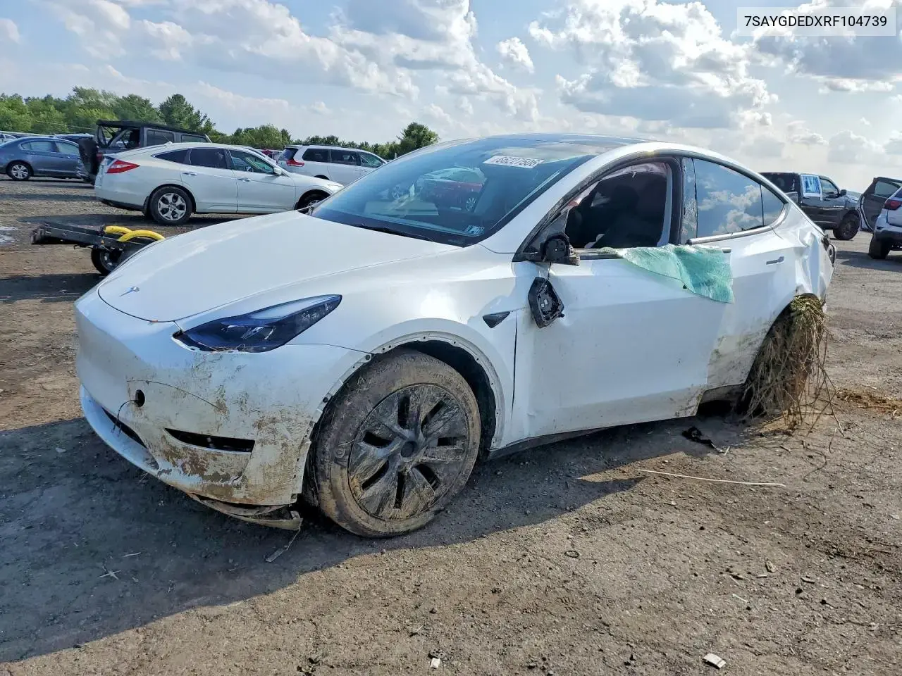 Tesla Model Y 2024