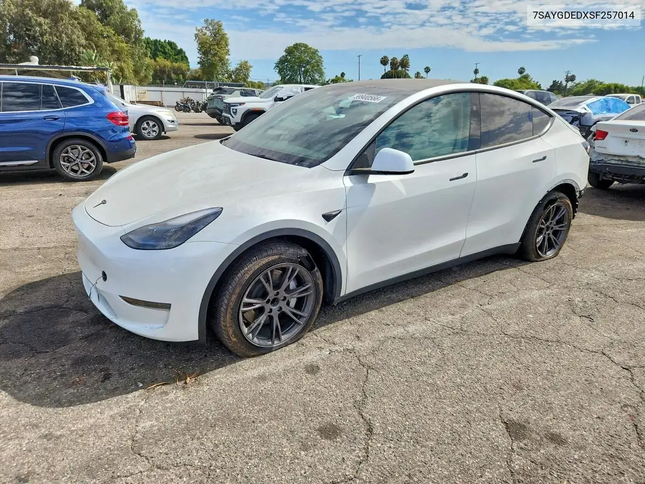 Tesla Model Y 2025