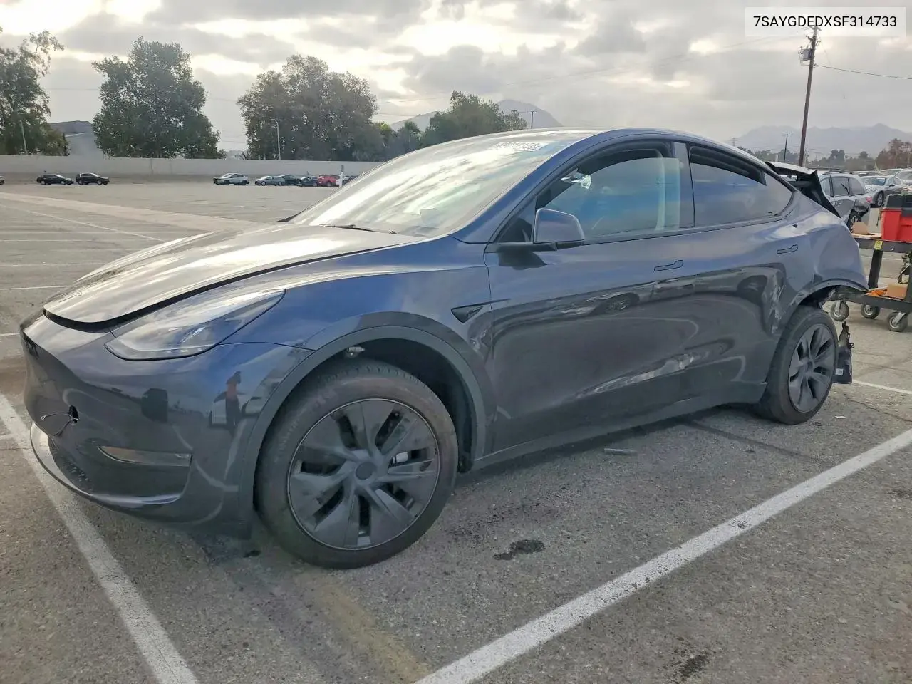 Tesla Model Y 2025