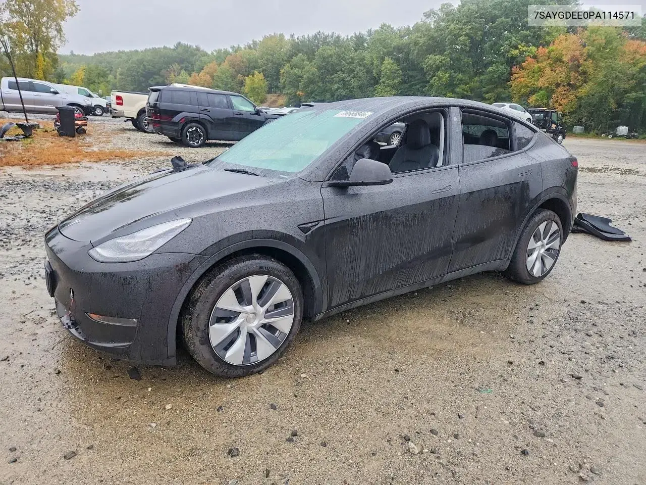 Tesla Model Y 2023