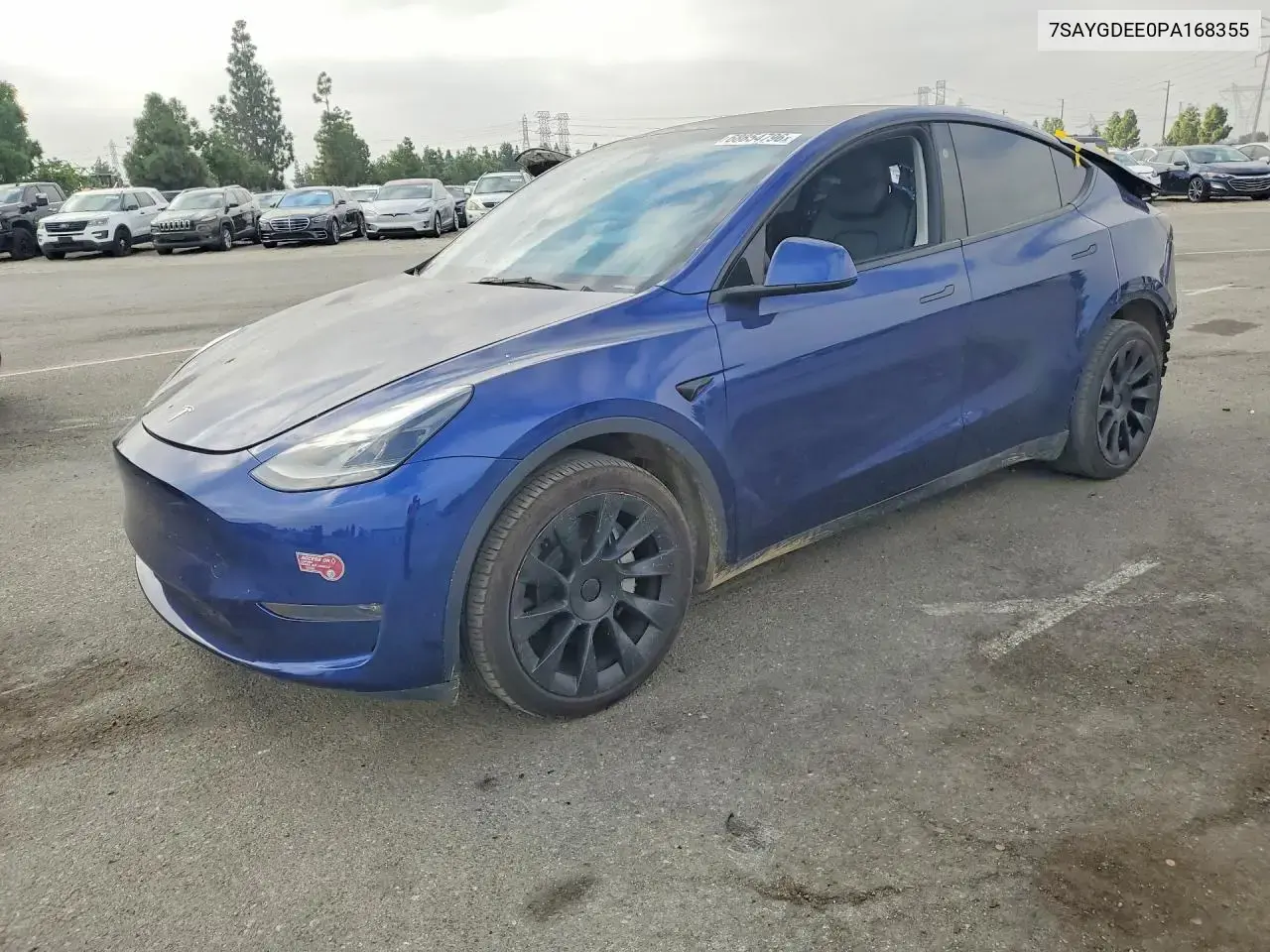Tesla Model Y 2023
