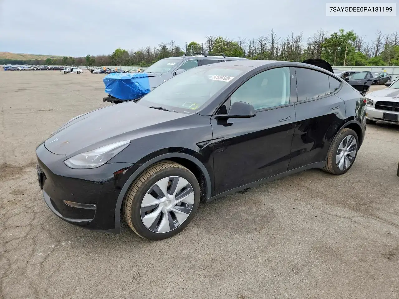 Tesla Model Y 2023