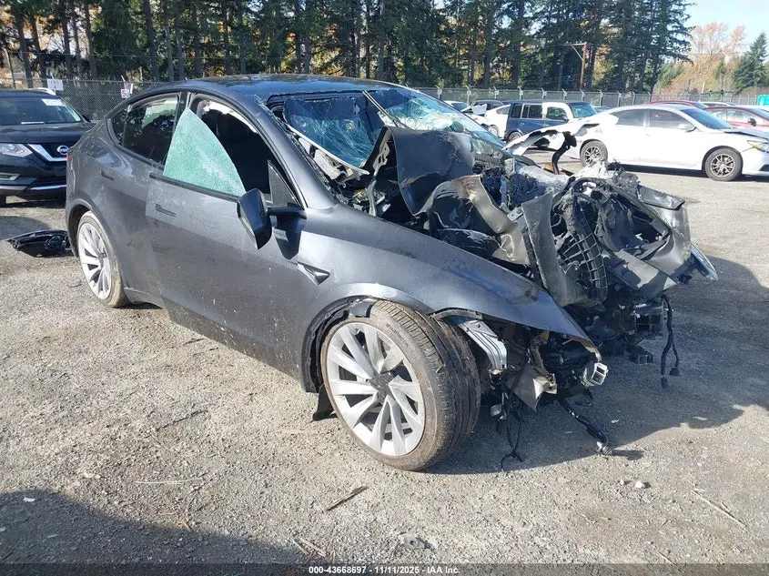 Tesla Model Y Long Range Dual Motor All-Wheel Drive/Long Range Launch Series 2026