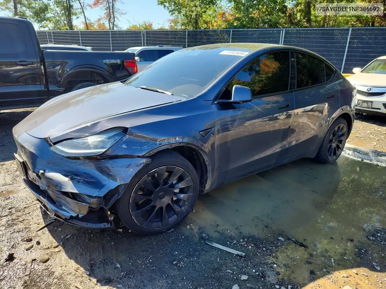 Tesla Model Y 2022
