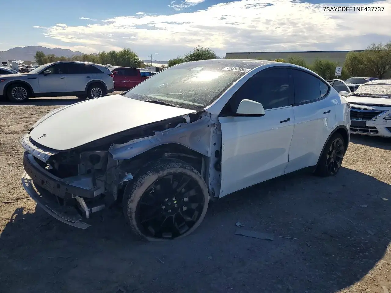 Tesla Model Y 2022