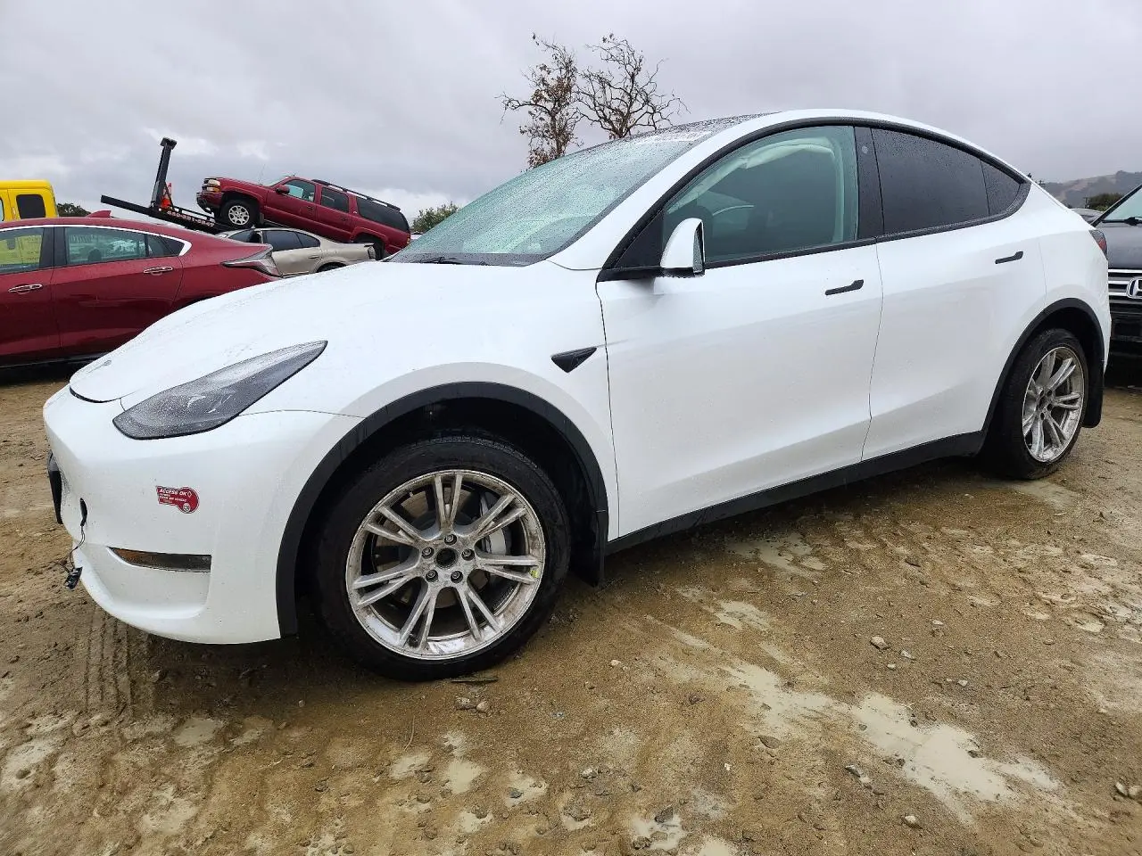 Tesla Model Y 2023