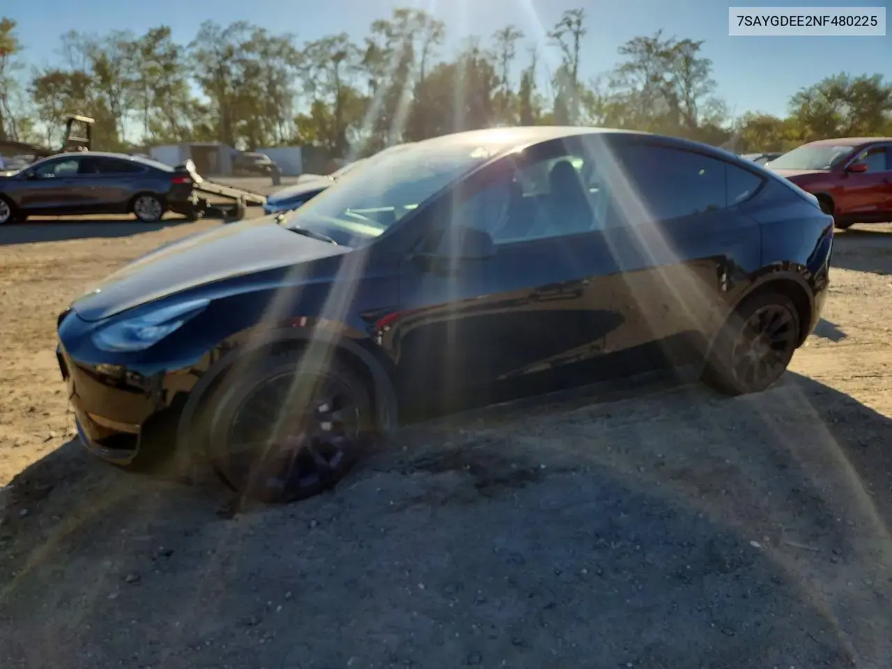 Tesla Model Y 2022