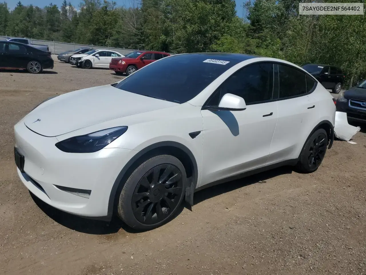 Tesla Model Y 2022