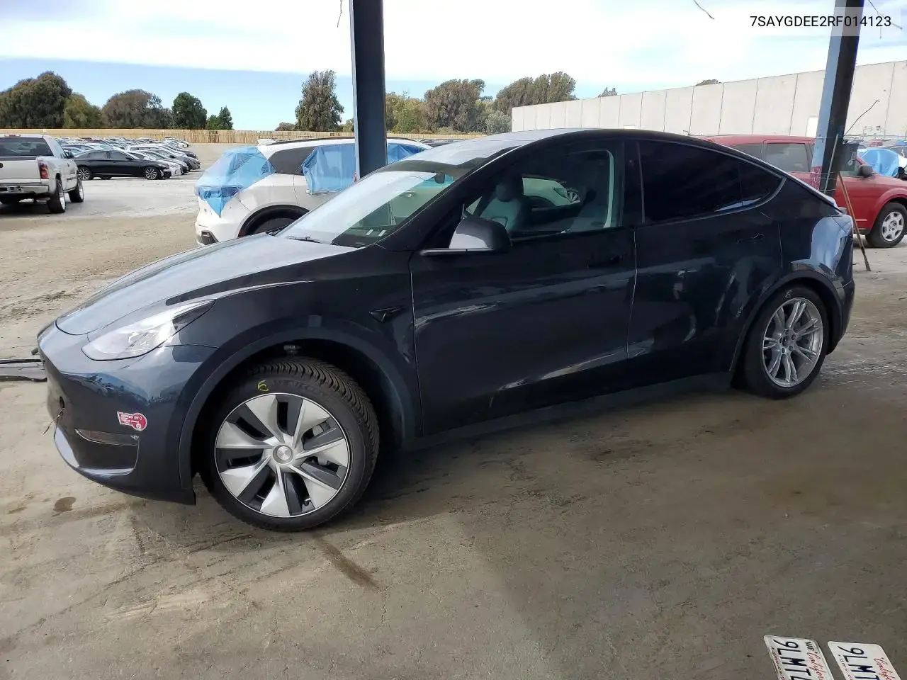 Tesla Model Y 2024
