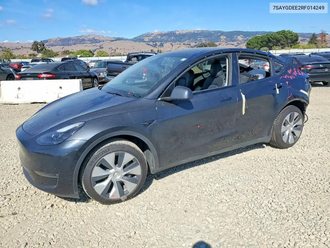 Tesla Model Y 2024